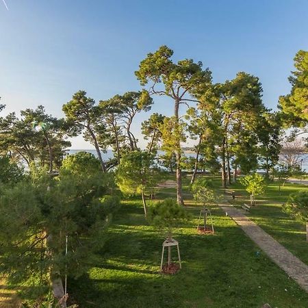 Apartment Hannah Novigrad Istria Eksteriør billede