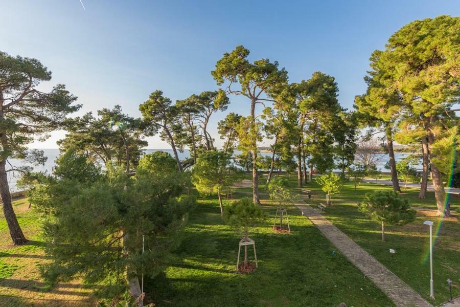 Apartment Hannah Novigrad Istria Eksteriør billede