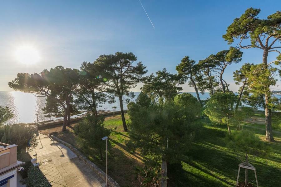 Apartment Hannah Novigrad Istria Eksteriør billede