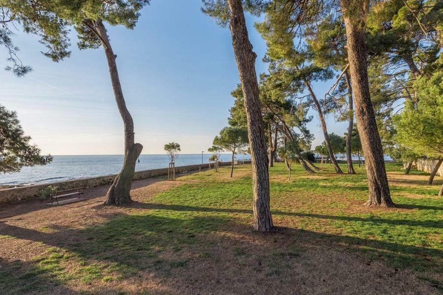 Apartment Hannah Novigrad Istria Eksteriør billede